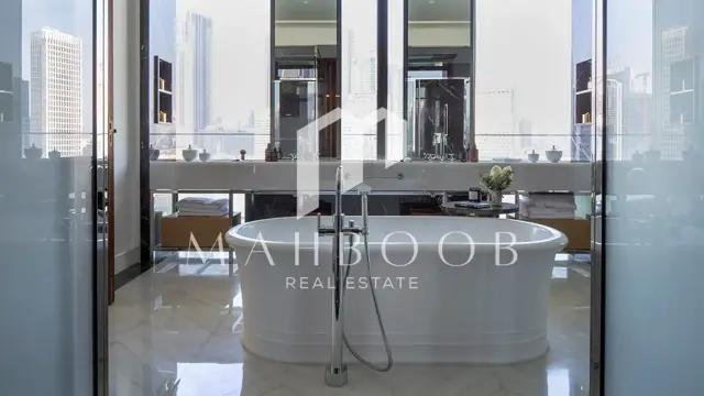 The Lana Dorchester Collection thumbnail 19