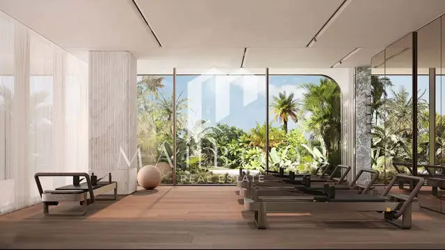 The Alba Dorchester Collection thumbnail 8
