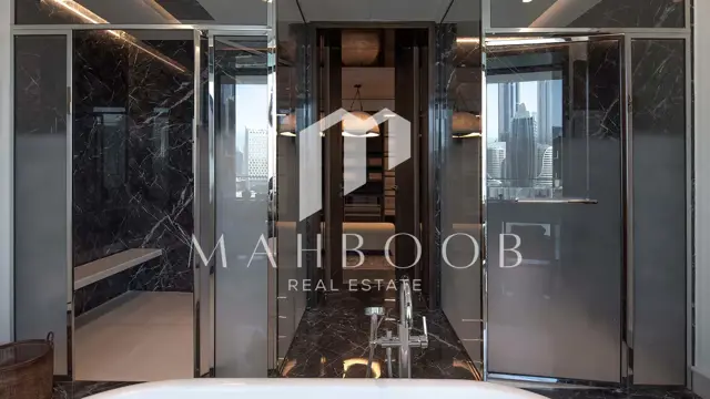 The Lana Dorchester Collection thumbnail 17
