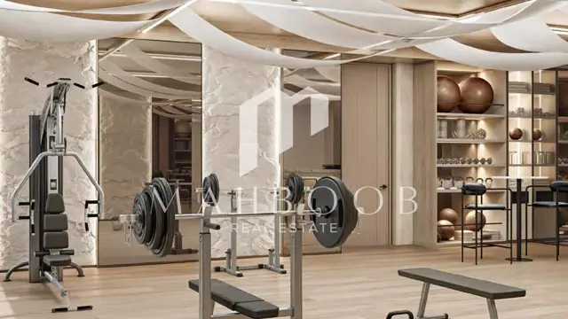Safa Gate thumbnail 16